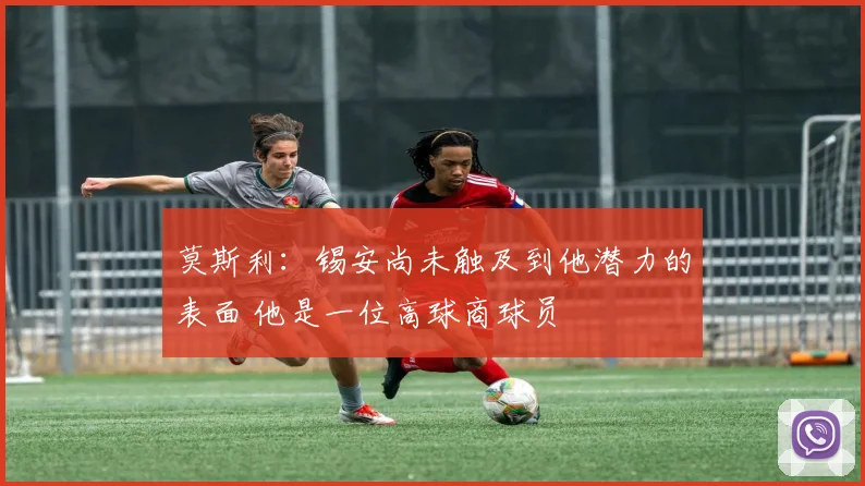莫斯利：锡安尚未触及到他潜力的表面 他是一位高球商球员